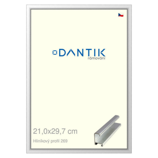 DANTIK rámeček 21x29,7 | ALU profil 7269 Stříbrná lesklá (Sklo Čiré)