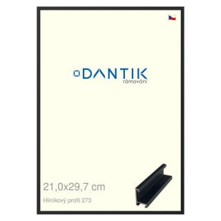 DANTIK rámeček 21x29,7 | ALU profil 7273 Černá matná (Sklo Čiré)