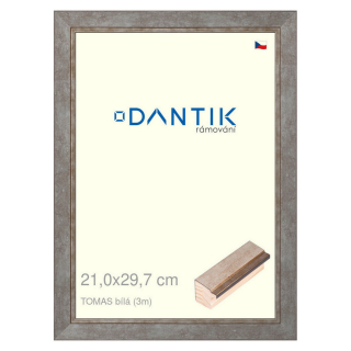 DANTIK rámeček 21x29,7 | TOMAS bílá (Sklo Čiré)