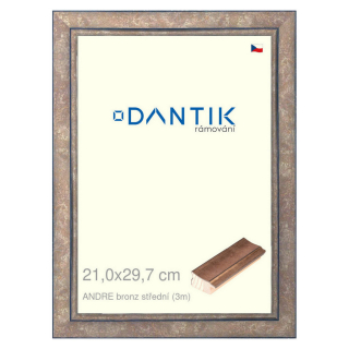 DANTIK rámeček 21x29,7 | ANDRE bronz střední (Sklo Čiré)