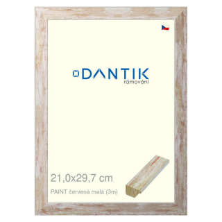 DANTIK rámeček 21x29,7 | PAINT červená malá (Sklo Čiré)