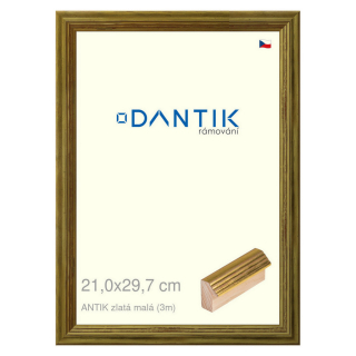DANTIK rámeček 21x29,7 | ANTIK zlatá malá (Sklo Čiré)