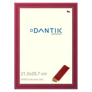 DANTIK rámeček 21x29,7 | NPINO červená (Sklo Čiré)