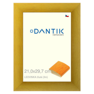 DANTIK rámeček 21x29,7 | LEDVINKA žlutá (Sklo Čiré)