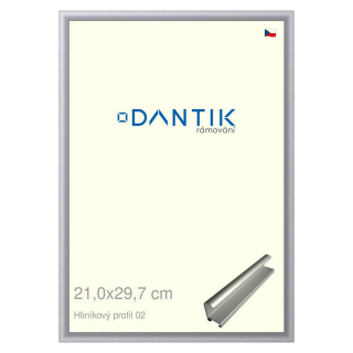 DANTIK rámeček 21x29,7 | ALU profil 7002 Stříbrná matná (Sklo Čiré)