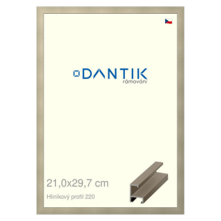 DANTIK rámeček 21x29,7 | ALU profil 6220 champagne (Sklo Čiré)