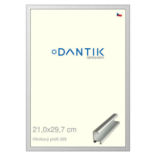 DANTIK rámeček 21x29,7 | ALU profil 7269 Stříbrná matná (Sklo Čiré)