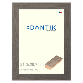 DANTIK rámeček 21x29,7 | ATHINA šedá (Sklo Čiré)