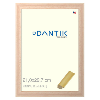 DANTIK rámeček 21x29,7 | NPINO přírodní (Sklo Čiré)