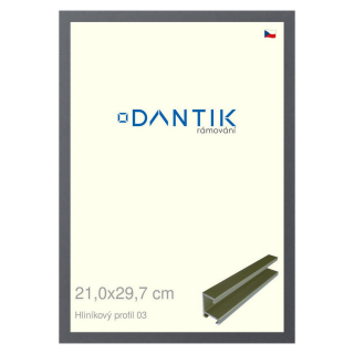DANTIK rámeček 21x29,7 | ALU profil 7003 Platina matná (Sklo Čiré)