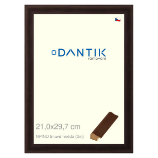 DANTIK rámeček 21x29,7 | NPINO tmavě hnědá (Sklo Čiré)