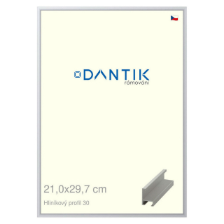 DANTIK rámeček 21x29,7 | ALU profil 6030 Stříbrná matná (Sklo Čiré)