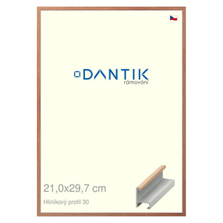 DANTIK rámeček 21x29,7 | ALU profil 6030 Dýha dub lak matný (Sklo Čiré)