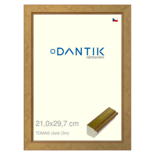 DANTIK rámeček 21x29,7 | TOMAS zlatá (Sklo Čiré)