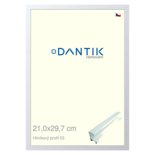 DANTIK rámeček 21x29,7 | ALU profil 7003 Bílá matná (Sklo Čiré)