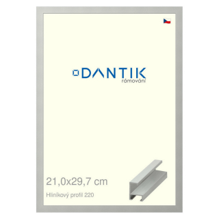 DANTIK rámeček 21x29,7 | ALU profil 6220 Stříbrná matná (Sklo Čiré)