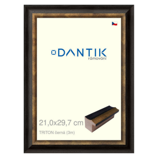 DANTIK rámeček 21x29,7 | TRITON černá (Sklo Čiré)