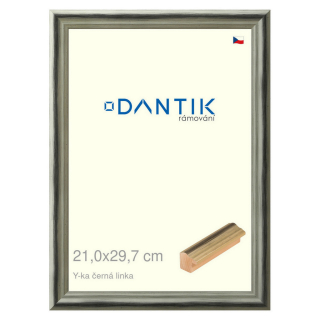 DANTIK rámeček 21x29,7 | Y-ka černá linka (Sklo Čiré)