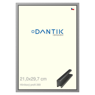 DANTIK rámeček 21x29,7 | ALU profil 7269 Šedá leská (Sklo Čiré)