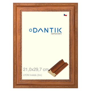DANTIK rámeček 21x29,7 | LYON hnědá (Sklo Čiré)