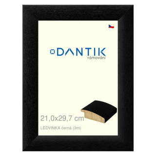 DANTIK rámeček 21x29,7 | LEDVINKA černá (Sklo Čiré)