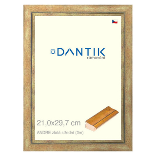 DANTIK rámeček 21x29,7 | ANDRE zlatá střední (Sklo Čiré)