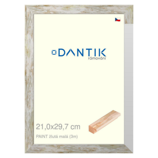 DANTIK rámeček 21x29,7 | PAINT žlutá malá (Sklo Čiré)