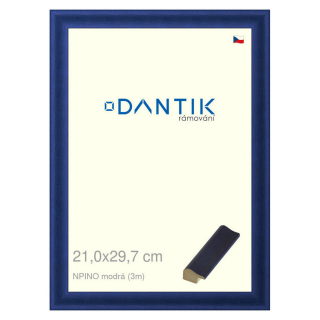 DANTIK rámeček 21x29,7 | NPINO modrá (Sklo Čiré)