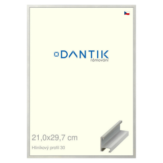DANTIK rámeček 21x29,7 | ALU profil 6030 Dýha barevná šedá světlá (Sklo Čiré)