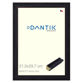 DANTIK rámeček 21x29,7 | BEAUTY černá (Sklo Čiré)