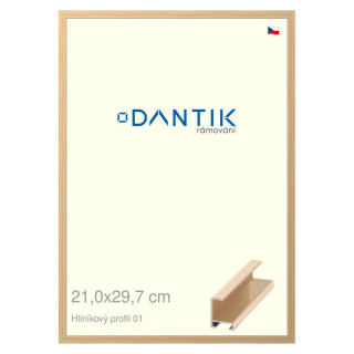 DANTIK rámeček 21x29,7 | ALU profil 6001 Zlatá lesklá (Sklo Čiré)