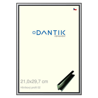 DANTIK rámeček 21x29,7 | ALU profil 7002 Šedá leská (Sklo Čiré)