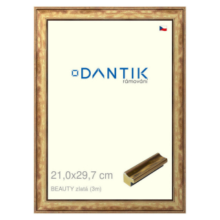 DANTIK rámeček 21x29,7 | BEAUTY zlatá (Sklo Čiré)