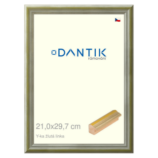 DANTIK rámeček 21x29,7 | Y-ka žlutá linka (Sklo Čiré)