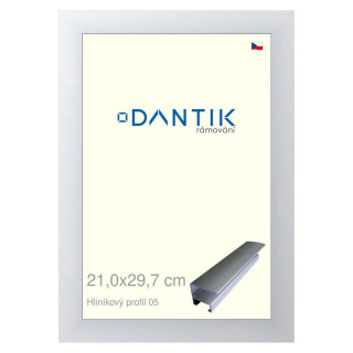 DANTIK rámeček 21x29,7 | ALU profil 7005 Stříbrná matná (Sklo Čiré)