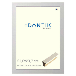 DANTIK rámeček 21x29,7 | PASTELKA bílá rovná (Sklo Čiré)