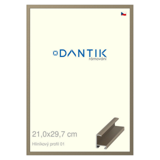 DANTIK rámeček 21x29,7 | ALU profil 6001 champagne (Sklo Čiré)