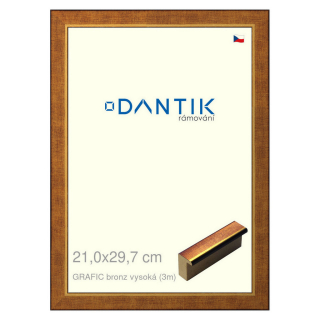 DANTIK rámeček 21x29,7 | GRAFIC bronz vysoká (Sklo Čiré)