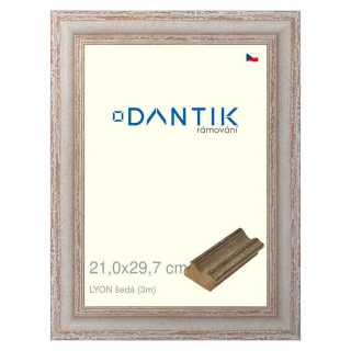DANTIK rámeček 21x29,7 | LYON šedá (Sklo Čiré)