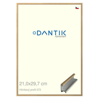 DANTIK rámeček 21x29,7 | ALU profil 7273 Dýha dub (Sklo Čiré)