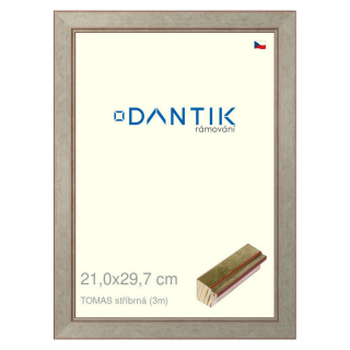 DANTIK rámeček 21x29,7 | TOMAS stříbrná (Sklo Čiré)
