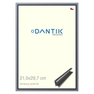 DANTIK rámeček 21x29,7 | ALU profil 7002 Platina matná (Sklo Čiré)