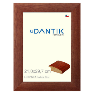 DANTIK rámeček 21x29,7 | LEDVINKA hnědá (Sklo Čiré)