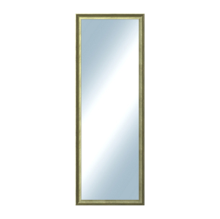 DANTIK Zrcadlo 50x140 Ferrosa zlatá