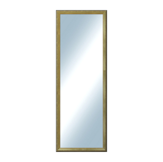 DANTIK Zrcadlo 50x140 Anversa zlatá