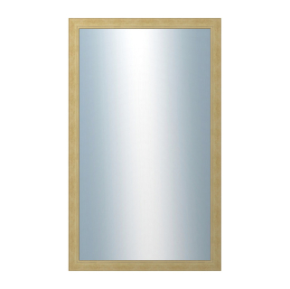 DANTIK Zrcadlo 60x100 ANDRÉ velká starostříbrná