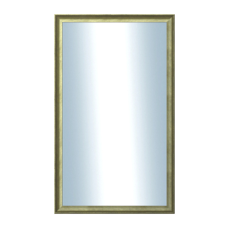 DANTIK Zrcadlo 60x100 Ferrosa zlatá