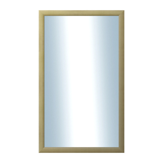 DANTIK Zrcadlo 60x100 LEDVINKA přírodní