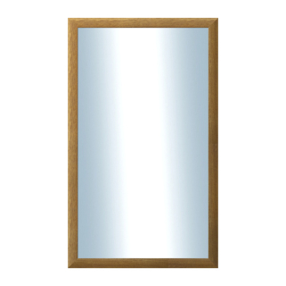 DANTIK Zrcadlo 60x100 LEDVINKA hnědá