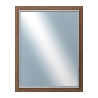 DANTIK Zrcadlo 40x50 TAIGA hnědá